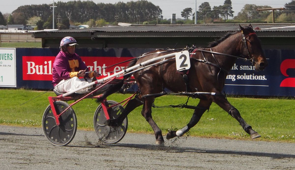 Joe too good on debut