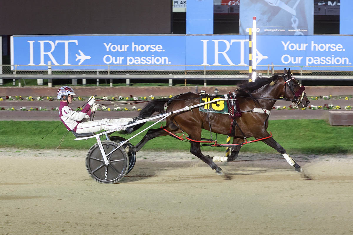 NZB Standardbred graduates dominate NZ Harness Awards