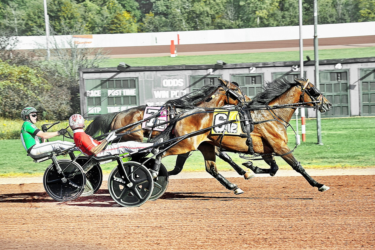 Longshots abound at Pocono