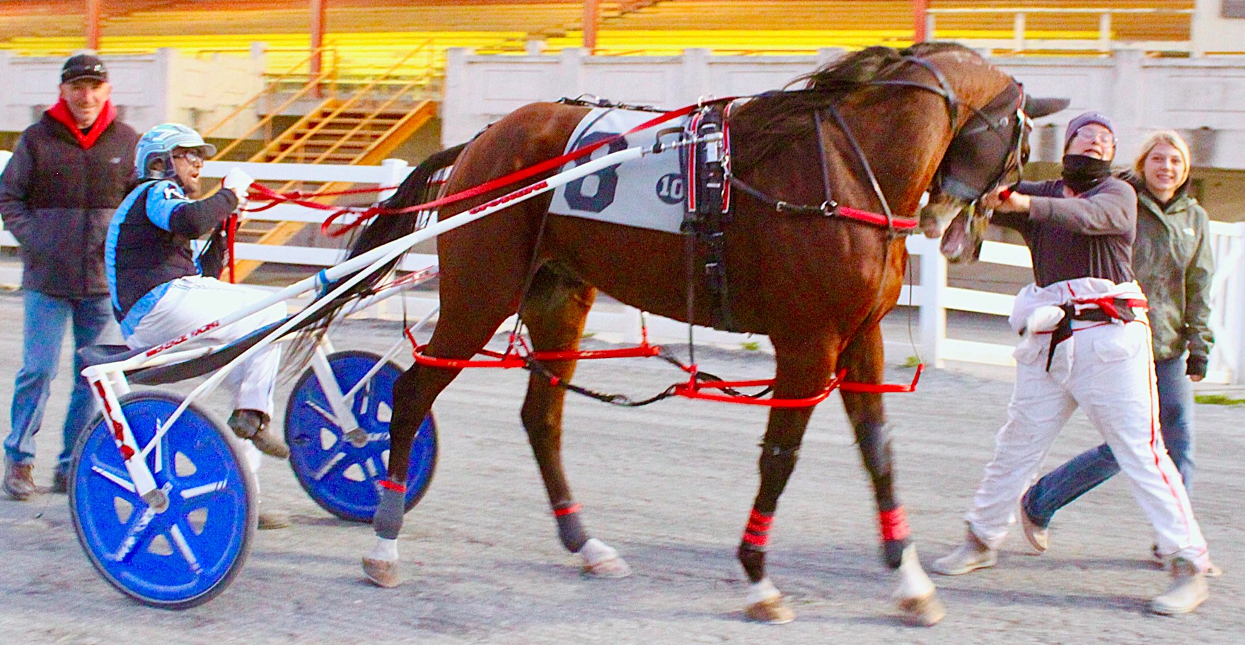 Kiwi import kicks home for Switzer, Jr