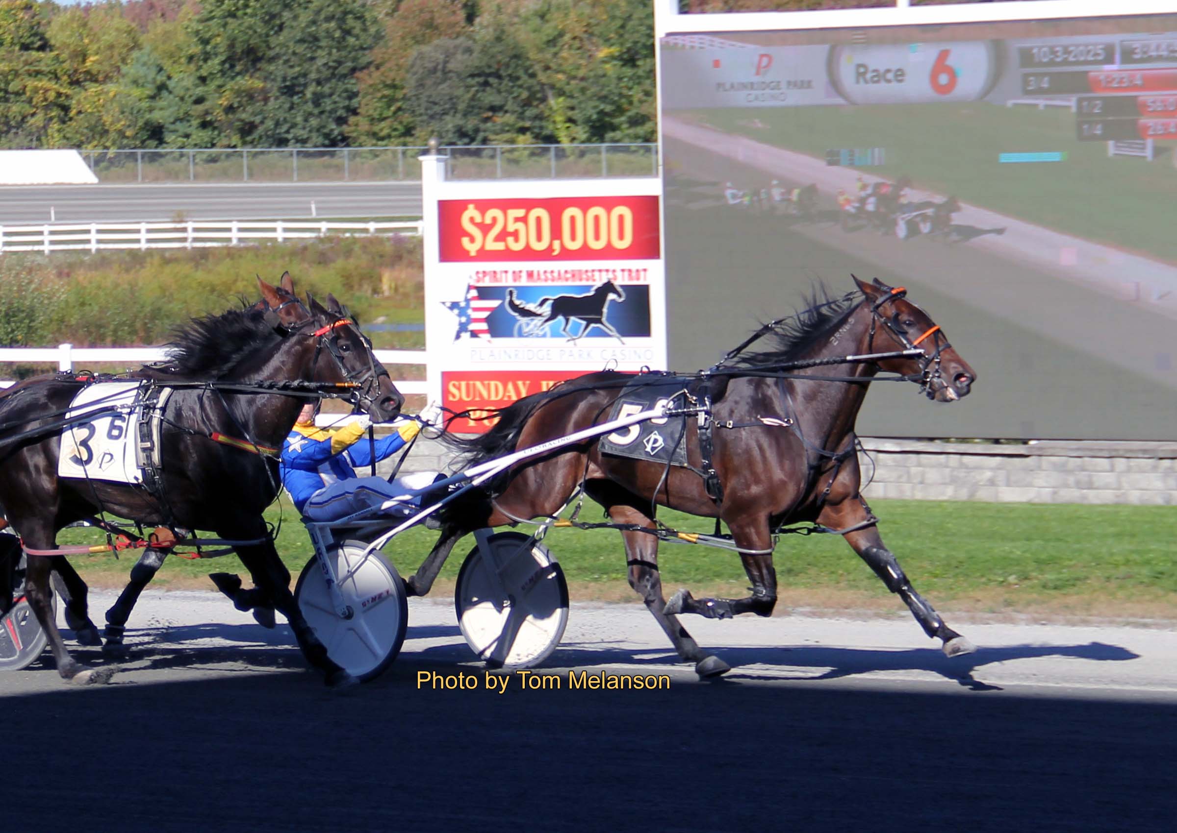 Ry’s Red Rocket, Sister Swell standout winners