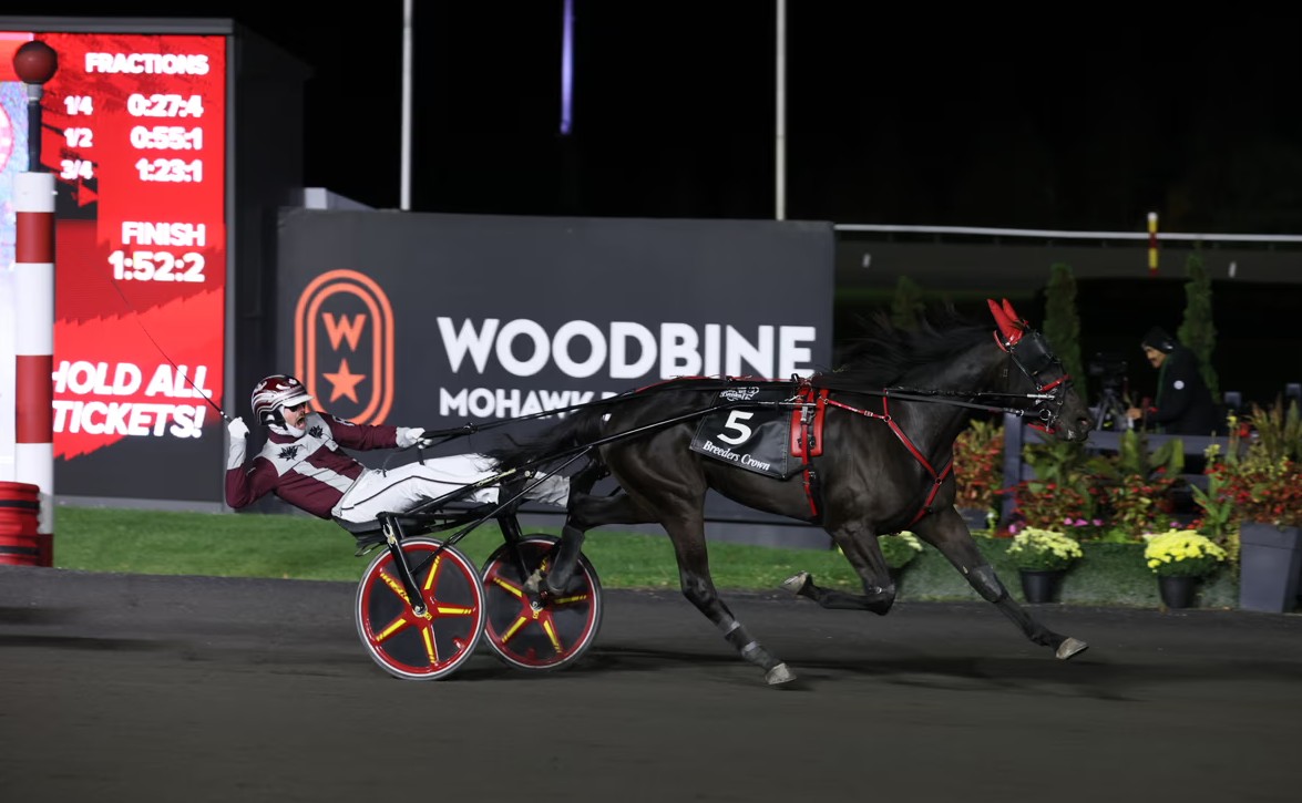 Fairy-tale win in $700,000 Breeders Crown