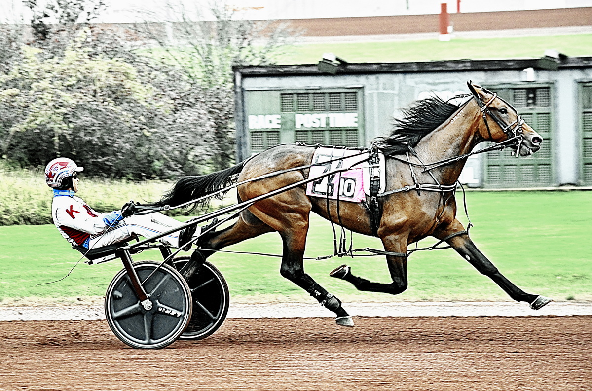 Greenshoe gelding overcomes early break to win