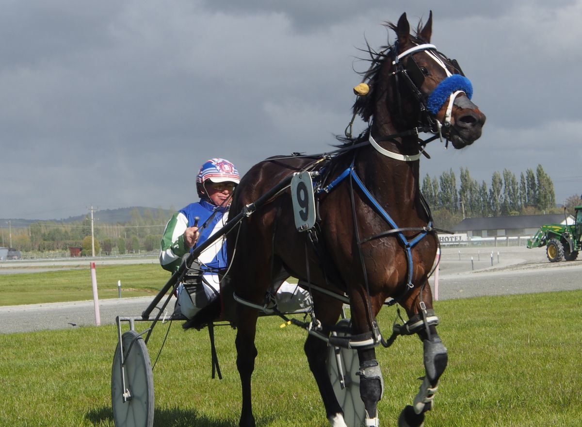 Showcase gets reward