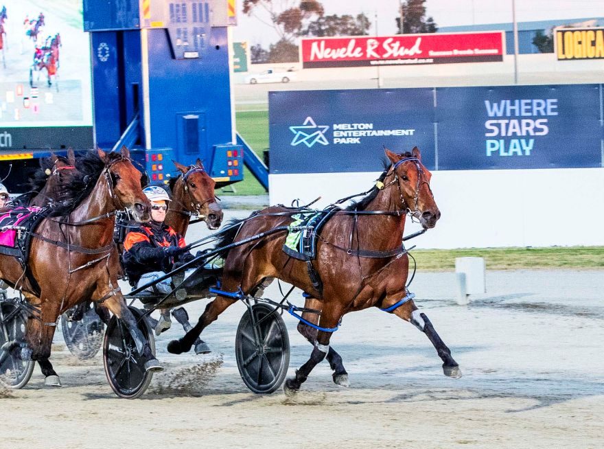 Melton’s big night pays dividends for everyone in Harness Racing