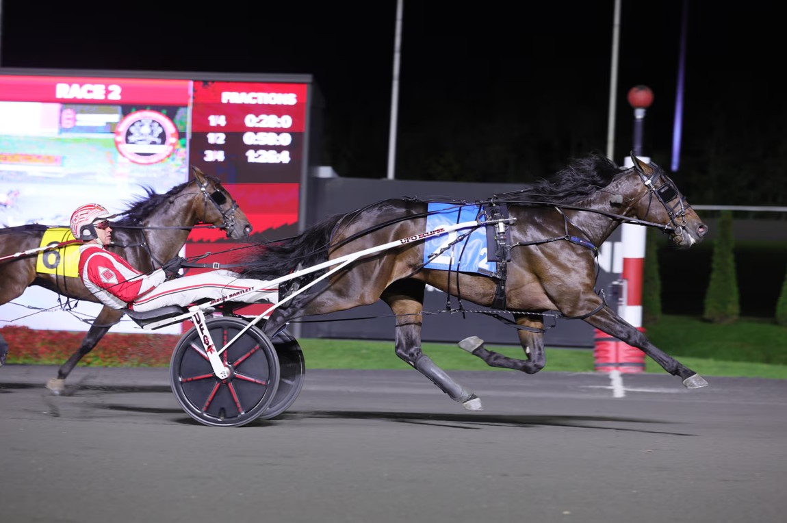 Breeders Crown elims for freshman male trotters run and won