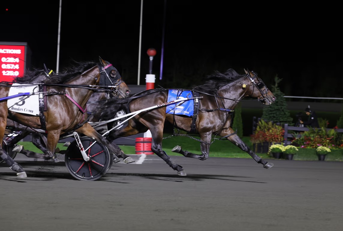 Son of Chapter Seven seizes Breeders Crown colt trot