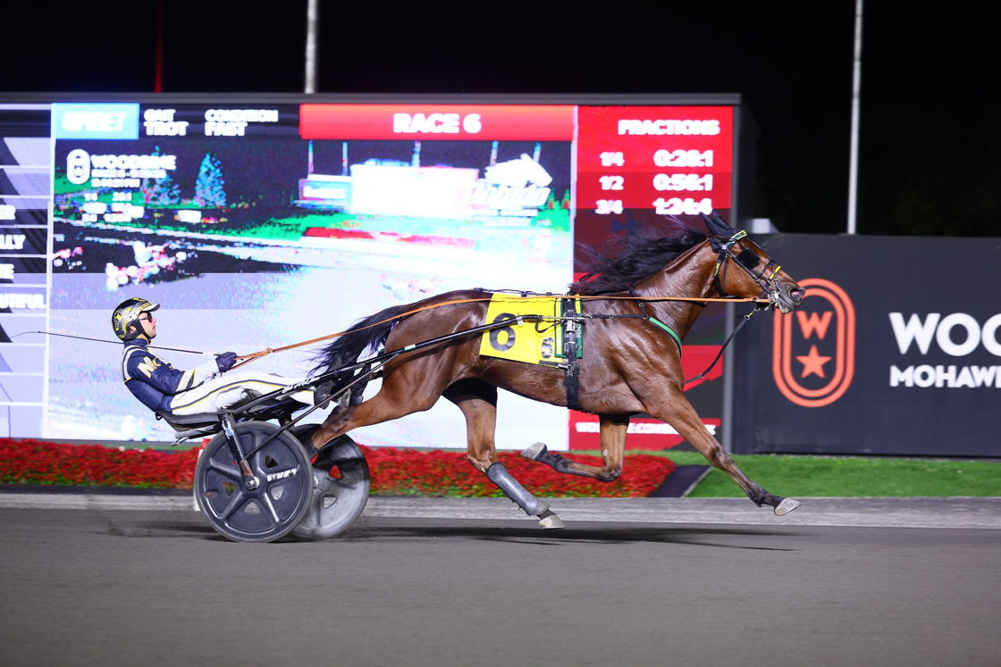 Stormont Beautiful supplemented to Breeders Crown