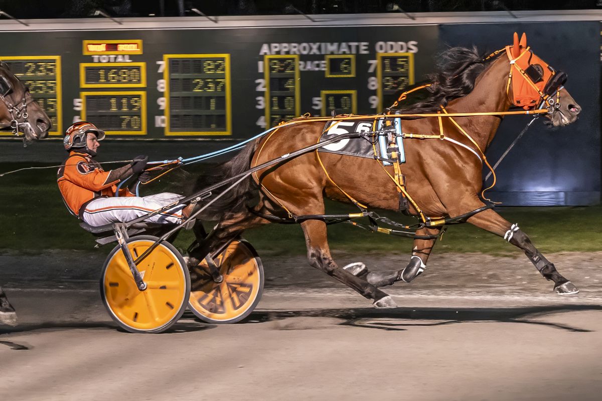 Fisher threads the needle as Summer Slash scores