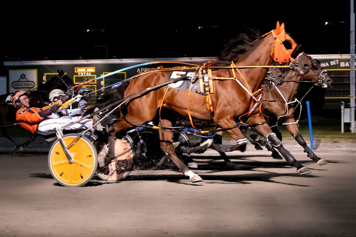 Slashing finish sees Summer Slash get the cash