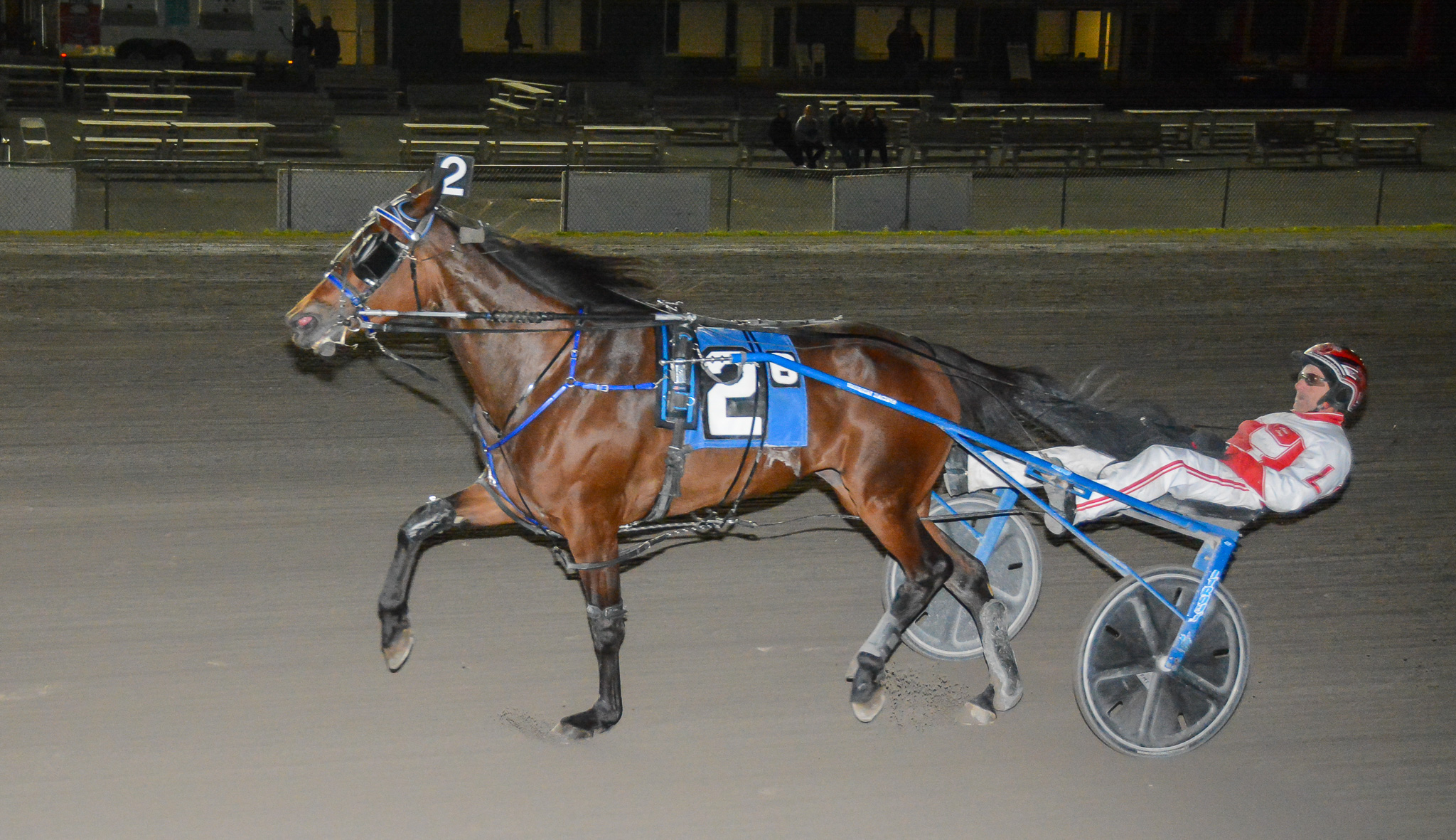 Gritty win by II Sogno Dream mare