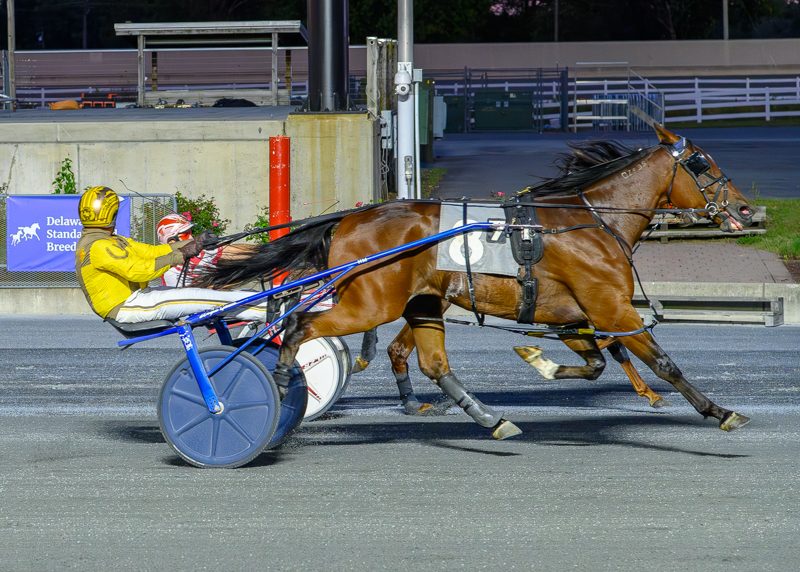 Tuis Star, Thiskissformaryell headline DSBF night