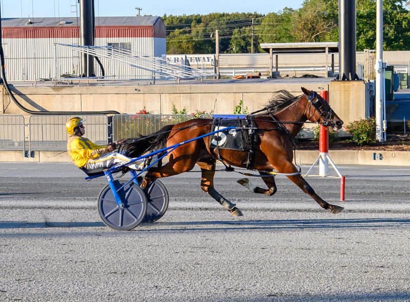 King Putt sets track record