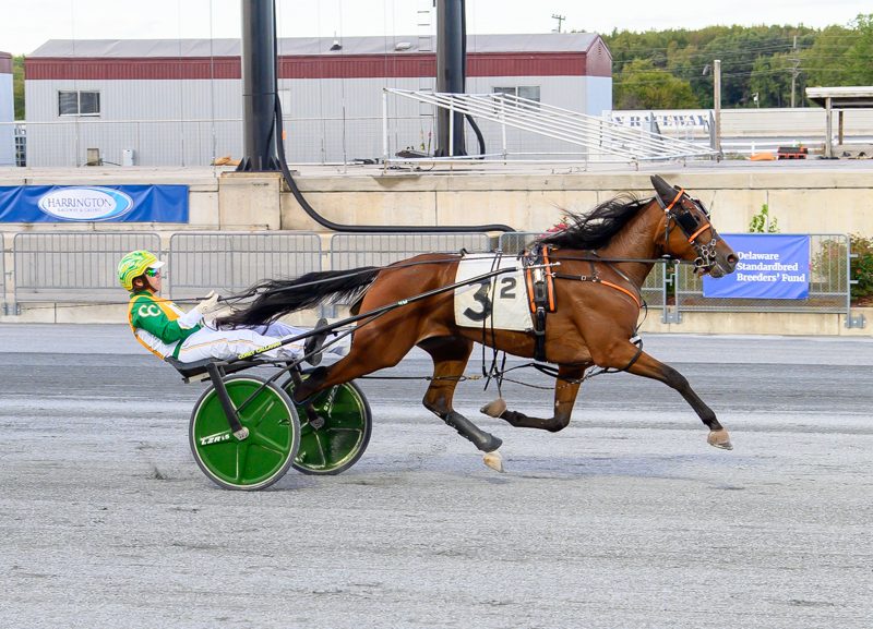 DSBF Finals, Pink Pace highlight closing week