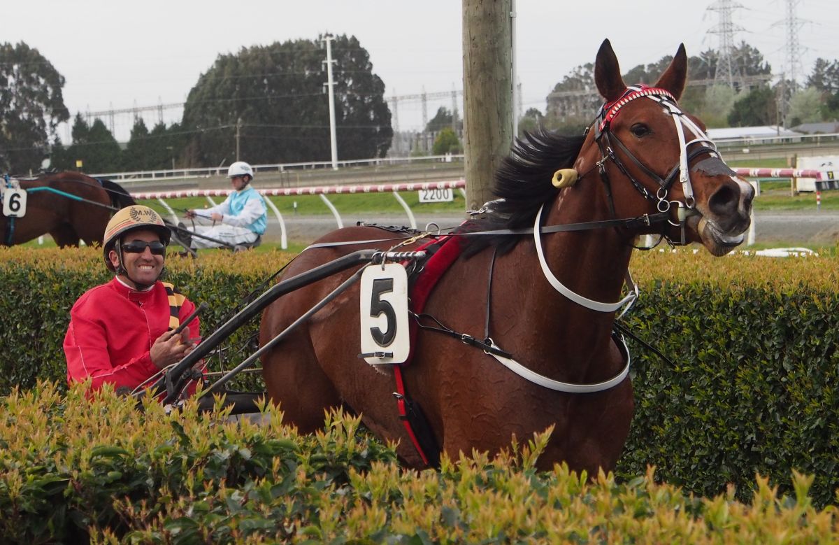 Sadie wins The Dark Horse