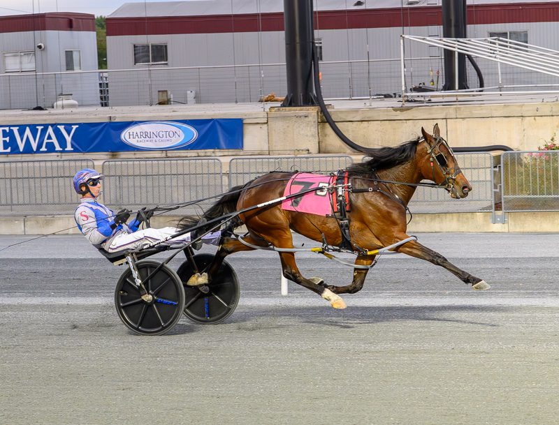 DSBF upset by He’s Watching filly