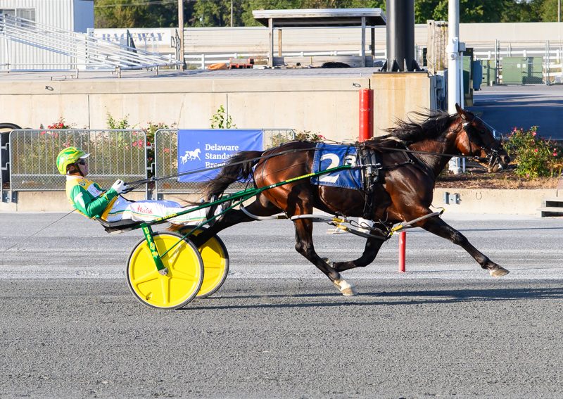 Watch Em Win victory highlights DSBF action