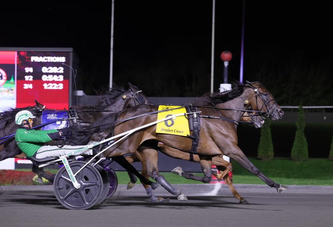 Walner mare blazes to 1:50.2 Breeders Crown triumph