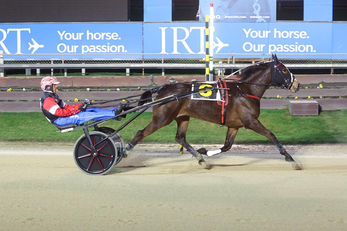 Ya Rite Darl hot favourite for Southern Oaks