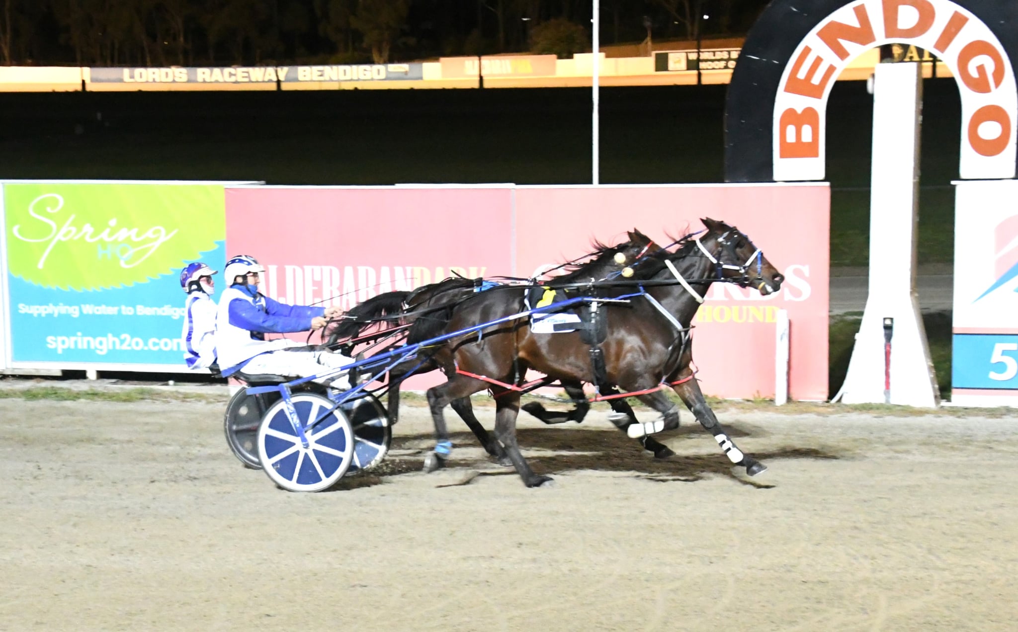 Dasher back in the groove with Bendigo win