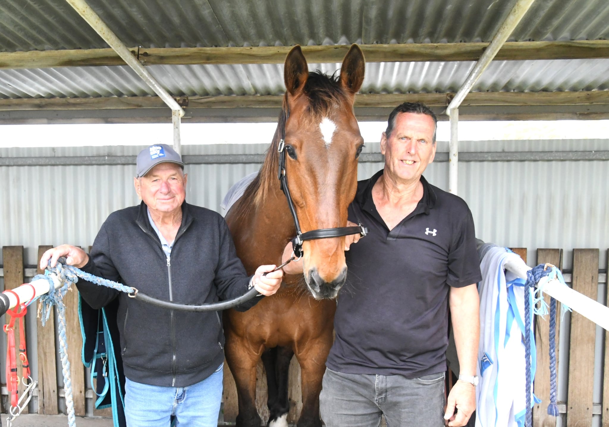 What a comeback! Patience and persistence at its best