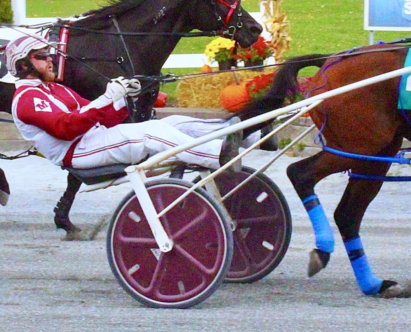 Trainer doubles up in the sulky