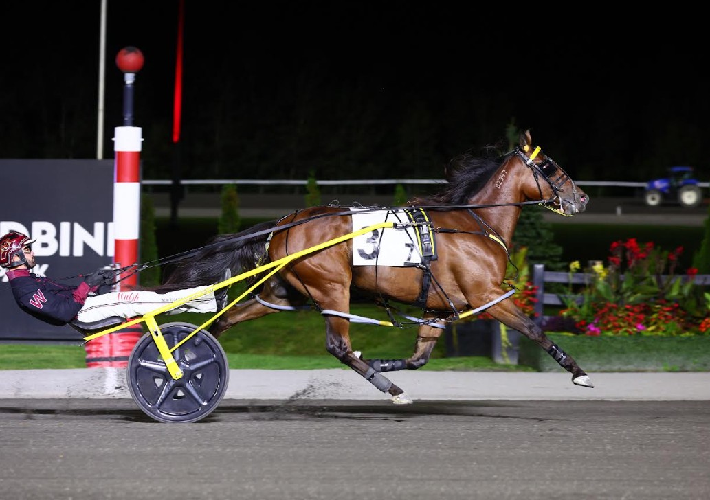 Loua Dipa headlines Friday International Stallion Stakes