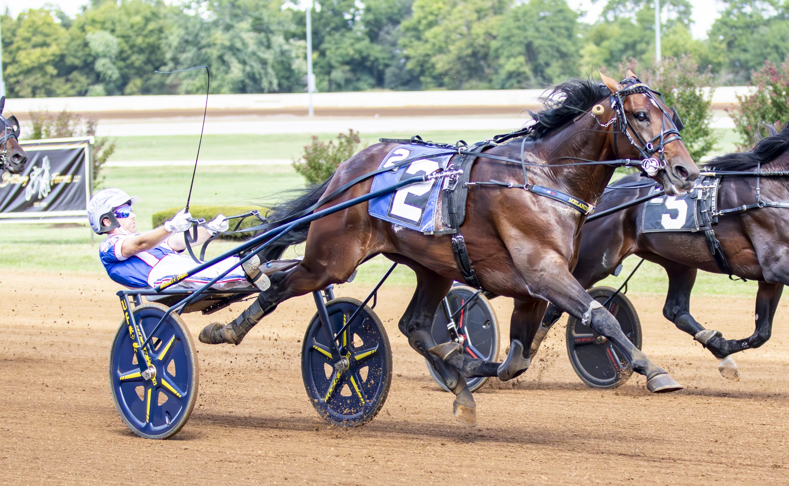 Periculum, Twin B Joe Fresh set track records in Allerage