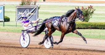 Burkholder looking to keep momentum going