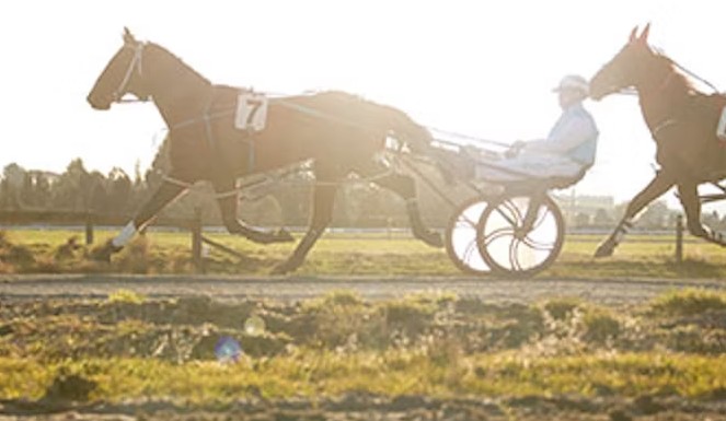 Share A Dream ready to continue Cup Week build-up