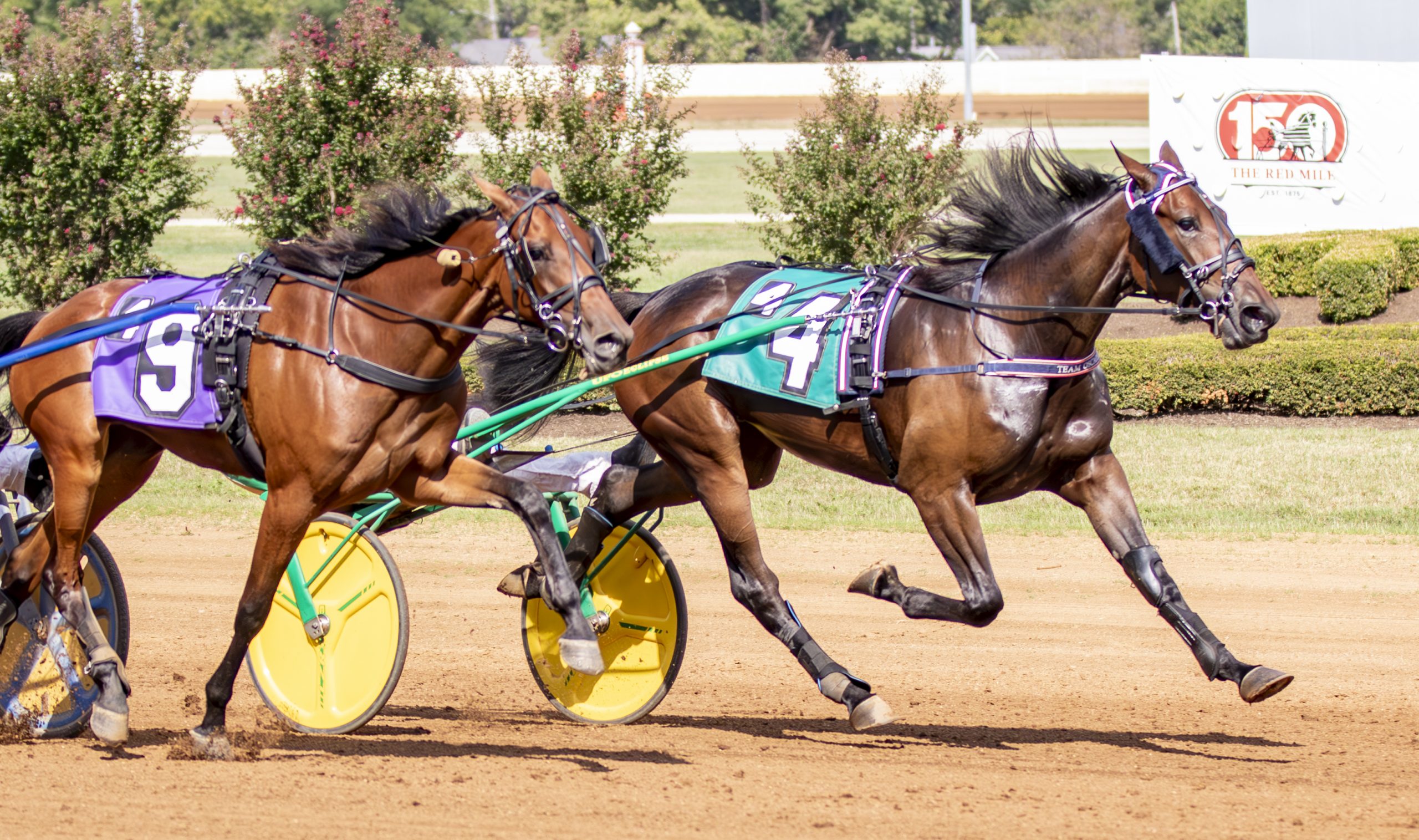 Southwind Chaska sweeps Grand Circuit Red Mile Events