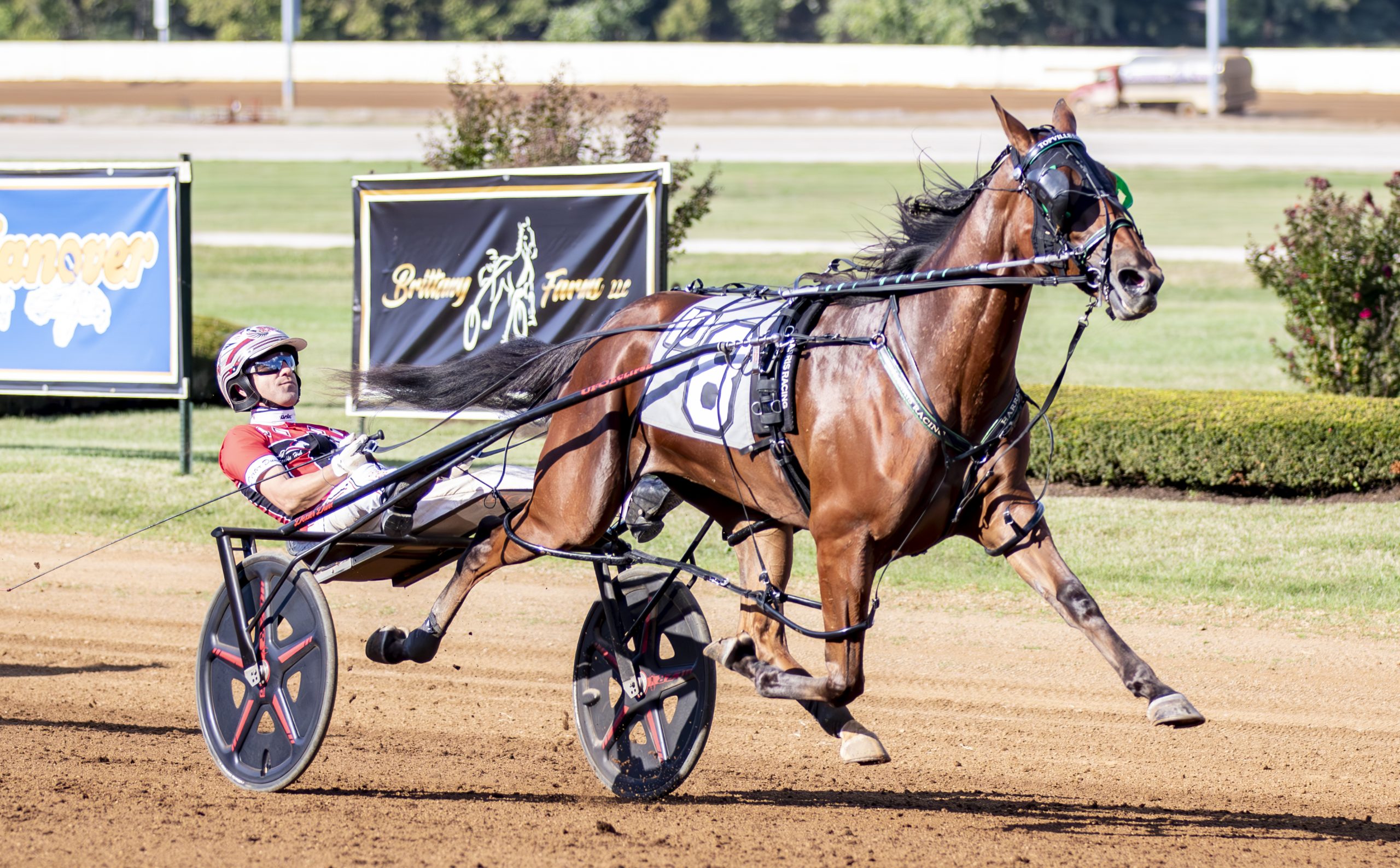 Loua Dipa smashes sister’s world record