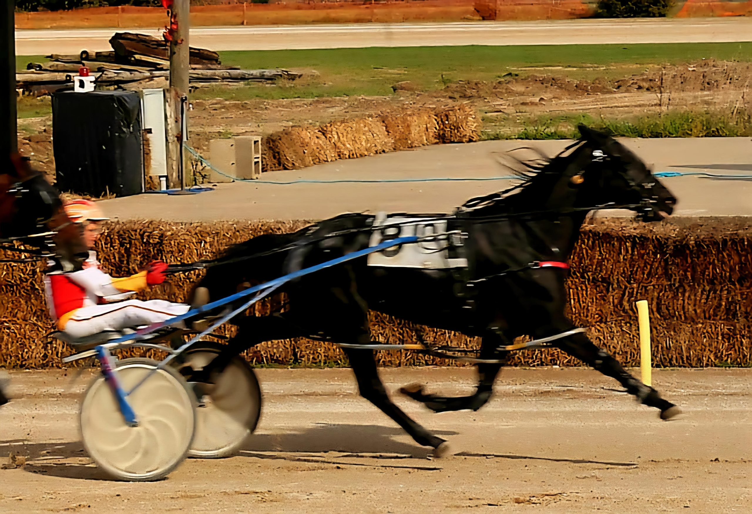 Two Birds Onestone soars to fourth straight