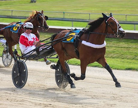 Bidding ends Wednesday night on 8 Lot Auction