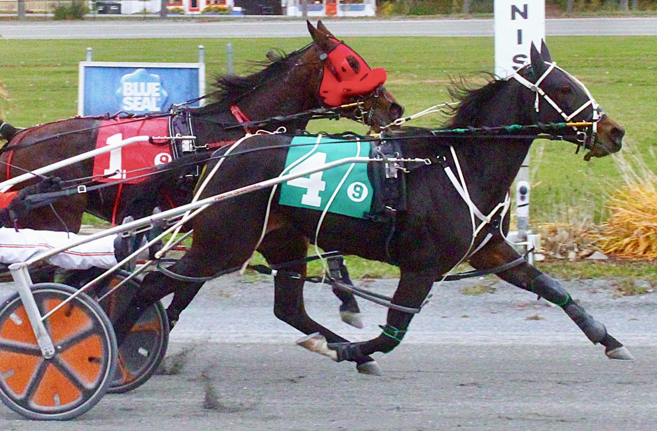 Birthday blitz – Campbell drives four winners