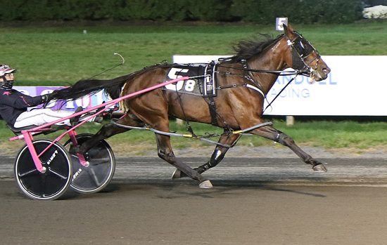 Darlin’s Angel takes streak to four in Kindergarten division win