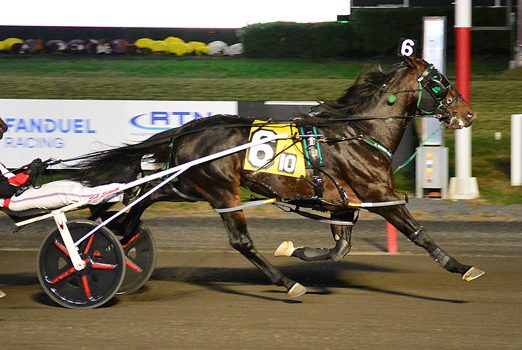 Seven Colors paints another winning picture