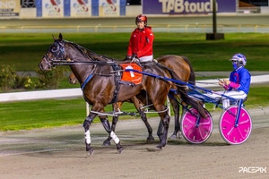 Golden Lode in prime position for $200,000 Golden Nugget