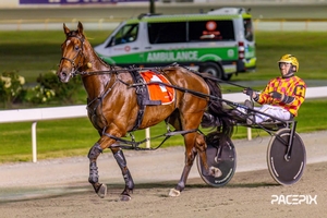 Class drop and perfect draw put Chivalry in the hot seat