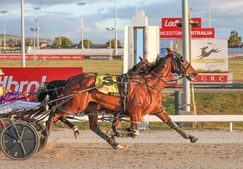 Glenledi Elvis smashes 2200m track record