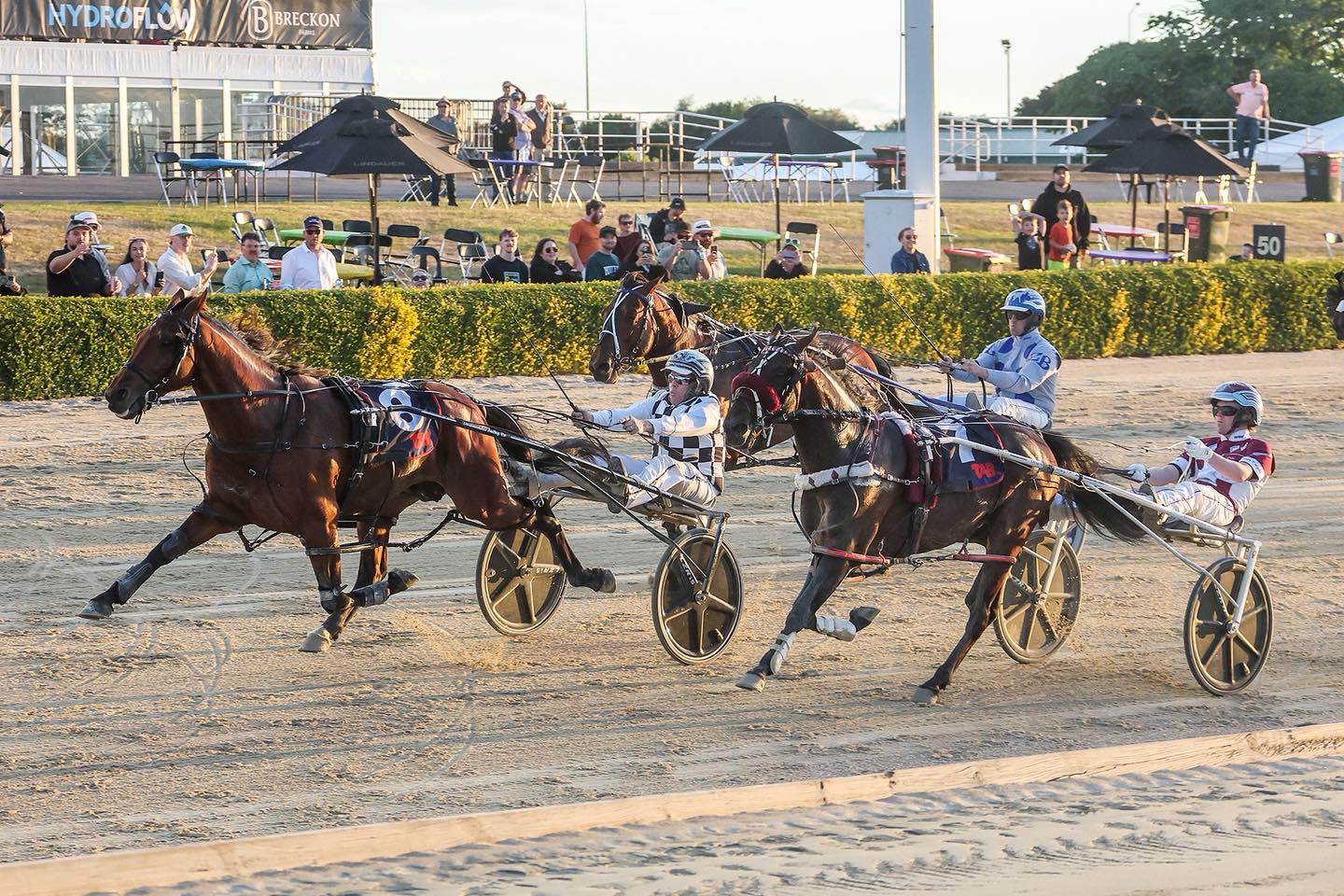 Trent’s Tips – Saturday Best Bets 17th January