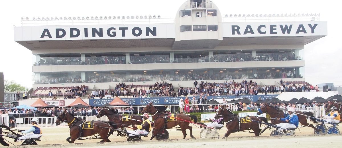 Fresh legs and familiar faces for Show Day