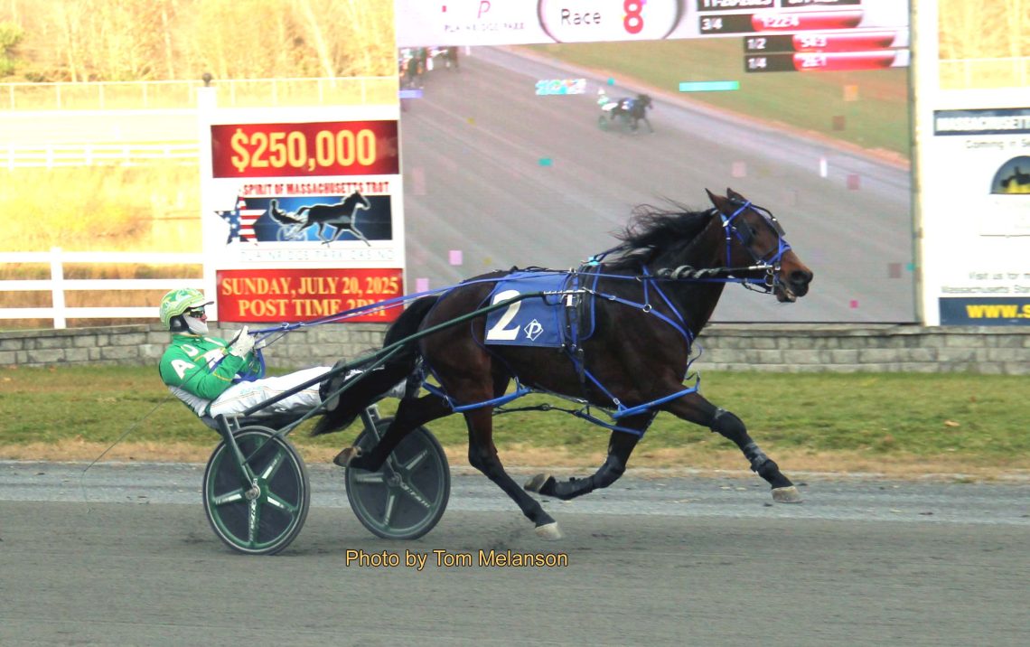 P L Pasquale goes lifetime best in third straight win at Plainridge