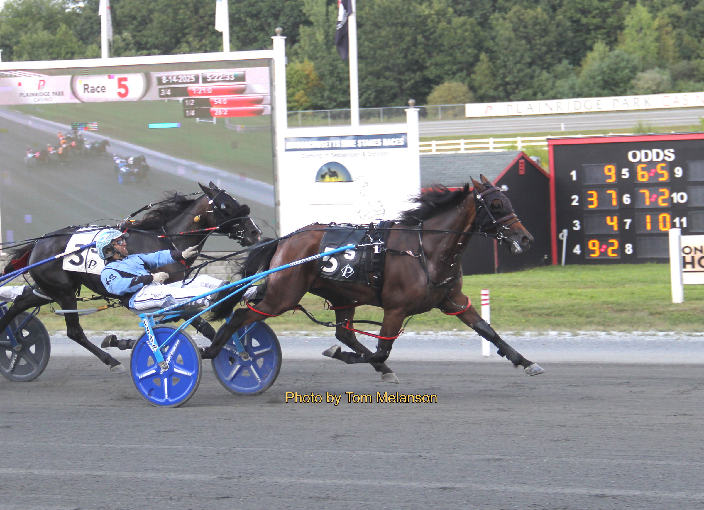 Drivers tied, Trainers title close, and a mare takes on the Open