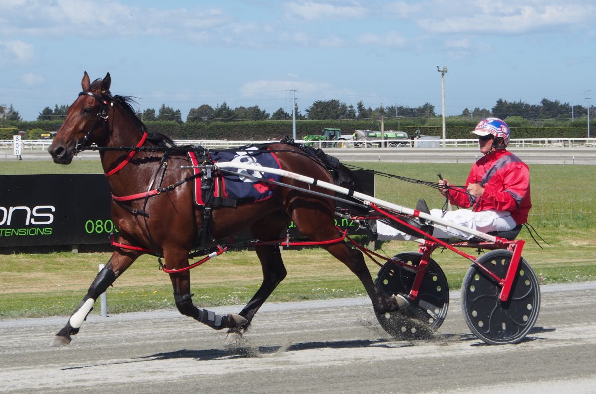 Anita Mary a special win for Hailes