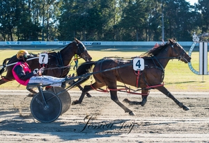 Awaitinginstructions claims Suvaljko Memorial