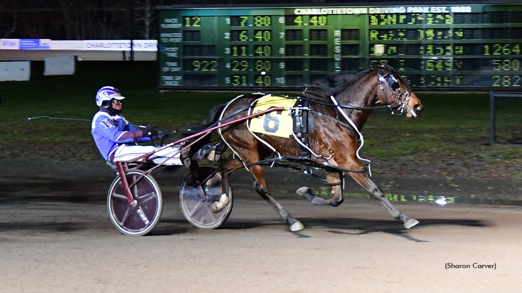 Badgirl Bridgette keeps the party rolling