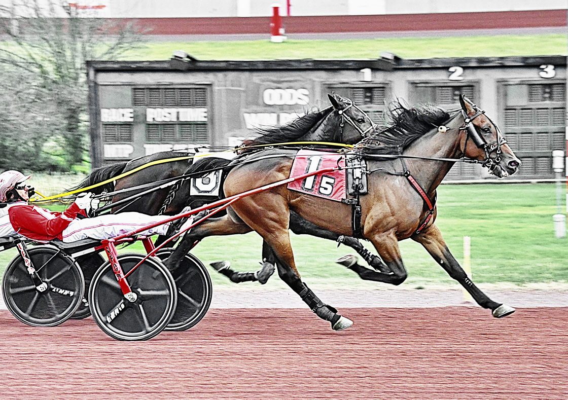 Bank On Me overcomes tough trip to win