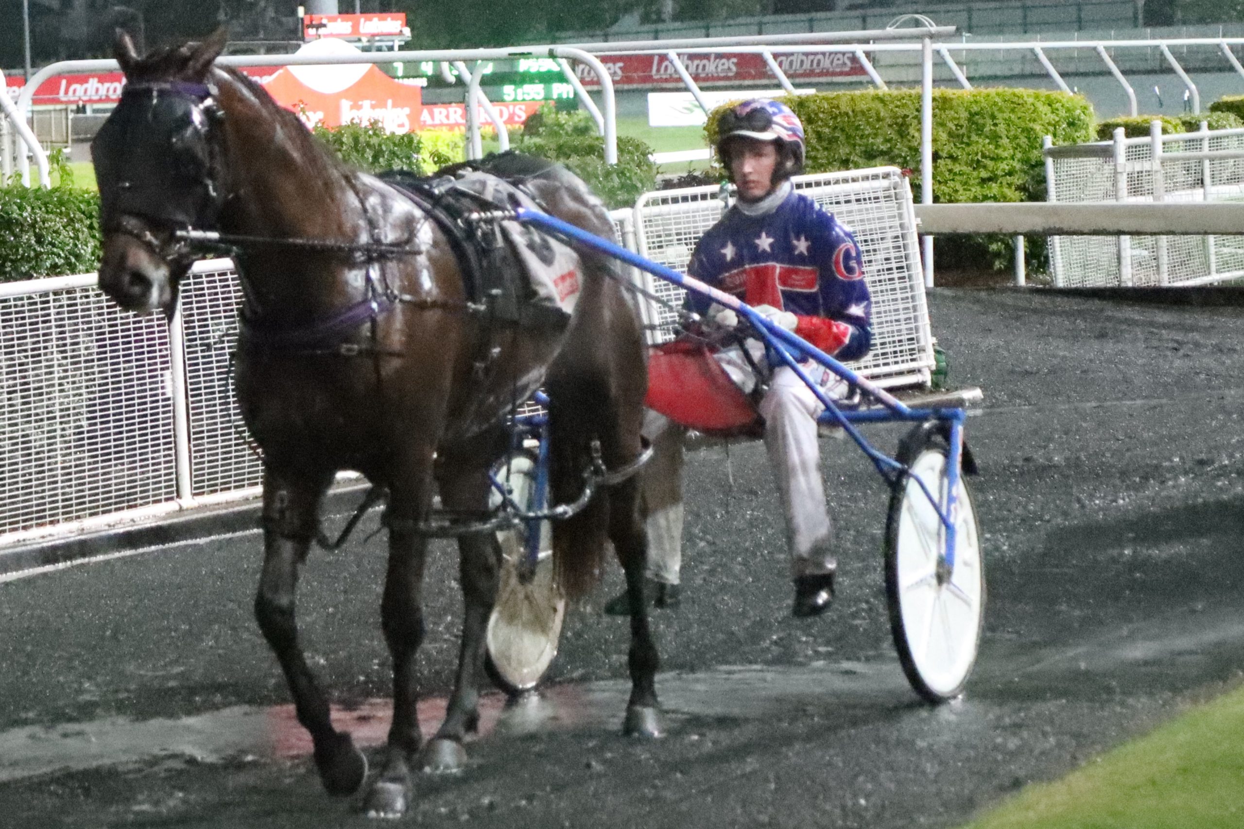 Beachbabe Crocker extends the remarkable legacy of Aratusa Lass