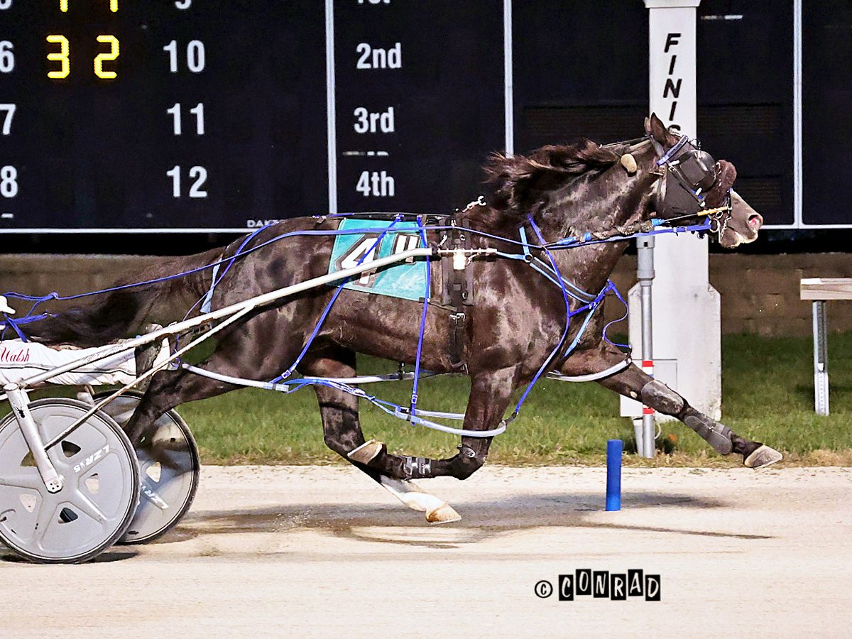 Better Is Nice surges home to win